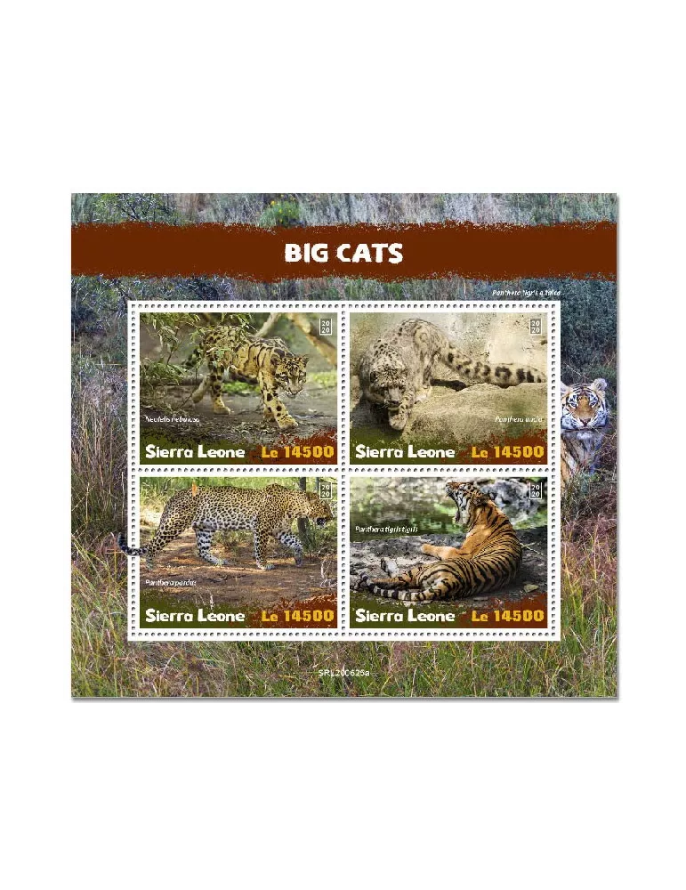 n° 10479/10482 - Timbre SIERRA LEONE Poste