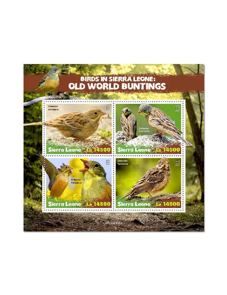 n° 10491/10494 - Timbre SIERRA LEONE Poste