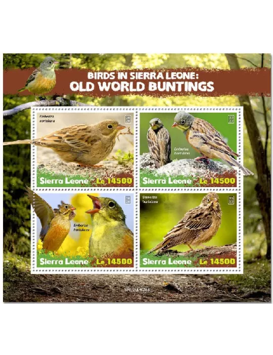 n° 10491/10494 - Timbre SIERRA LEONE Poste