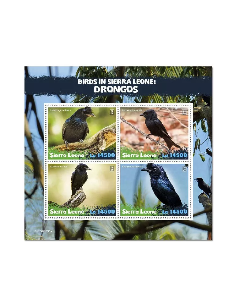 n° 10499/10502 - Timbre SIERRA LEONE Poste