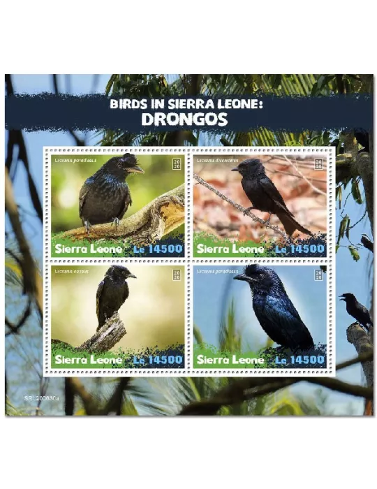 n° 10499/10502 - Timbre SIERRA LEONE Poste