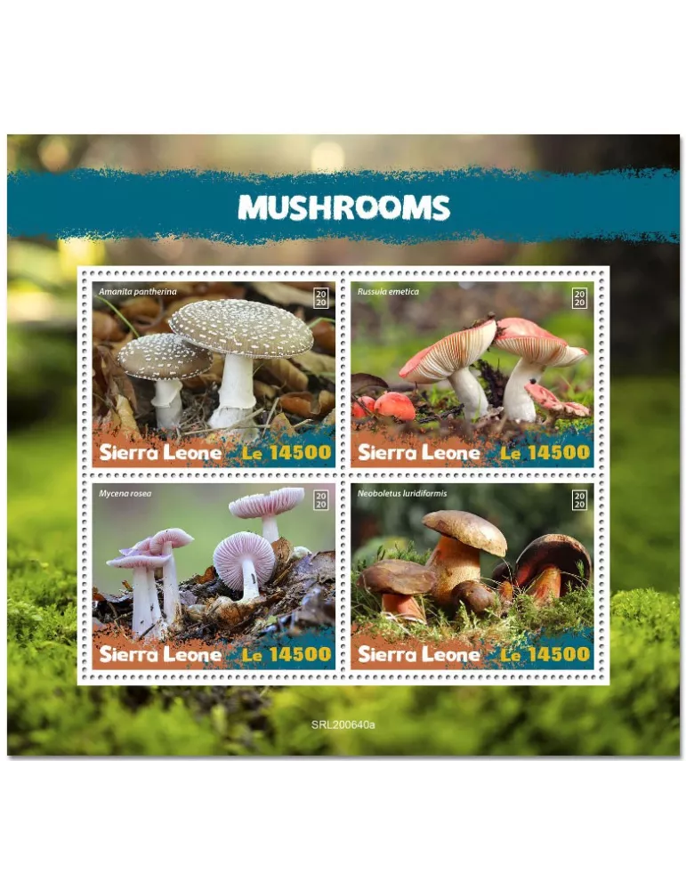 n° 10539/10542 - Timbre SIERRA LEONE Poste