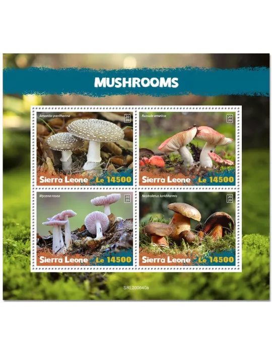 n° 10539/10542 - Timbre SIERRA LEONE Poste