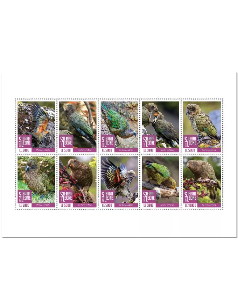 n° 9963/9972 - Timbre SIERRA LEONE Poste