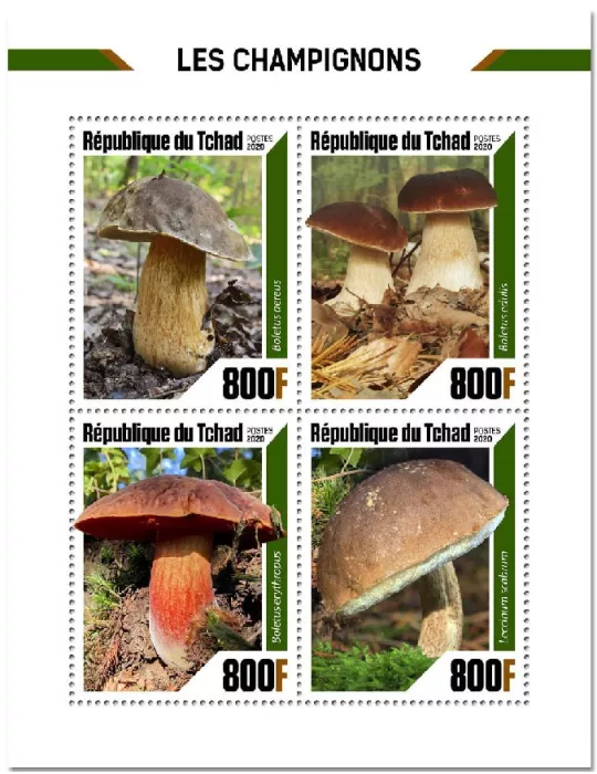 n° 2741/2744 - Timbre TCHAD Poste