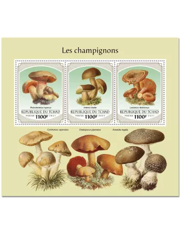 n° 3470/3472 - Timbre TCHAD Poste