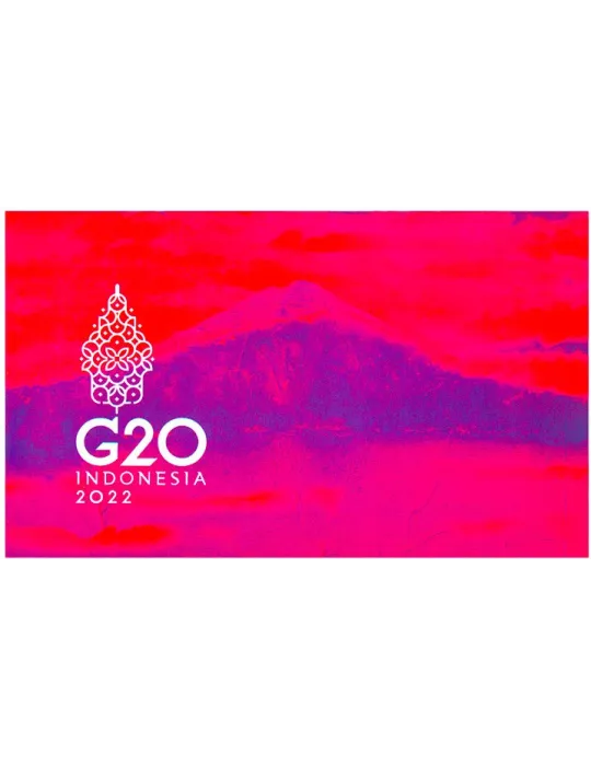 n° 9 - Timbre INDONESIE VIII - Carnets et ouvrages de luxe