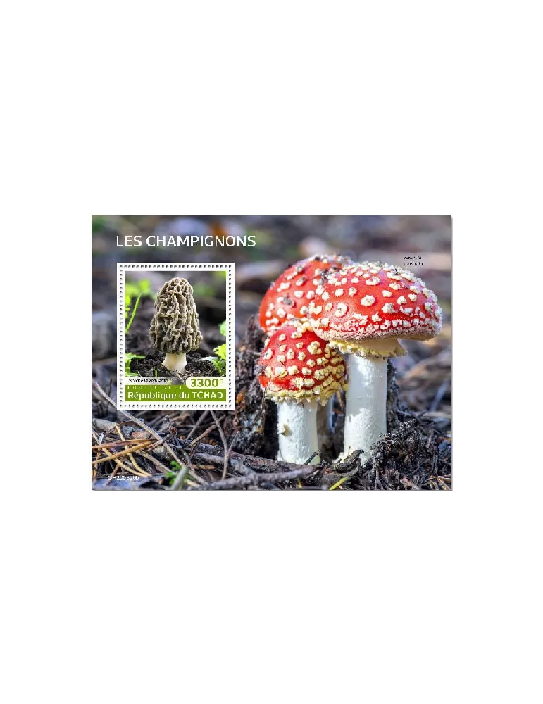 n° 334 - Timbre TCHAD Blocs et feuillets