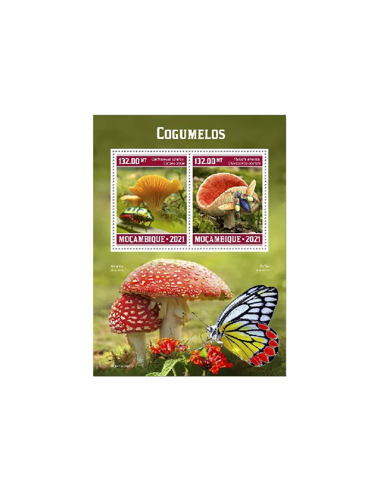 n° 9244/9245 - Timbre MOZAMBIQUE Poste