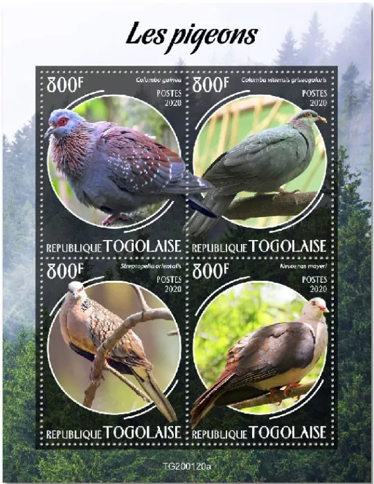 n° 7979/7982 - Timbre TOGO Poste