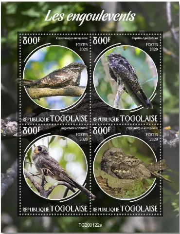 n° 7987/7990 - Timbre TOGO Poste