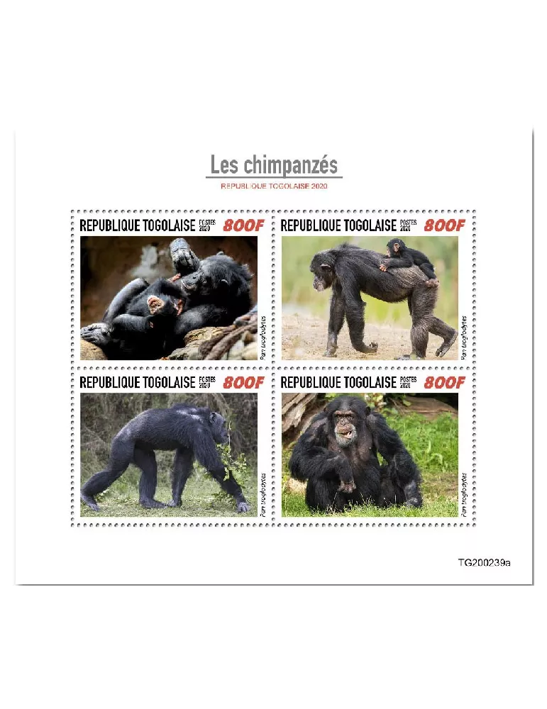 n° 8335/8338 - Timbre TOGO Poste