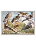 n° 8919/8924 - Timbre TOGO Poste