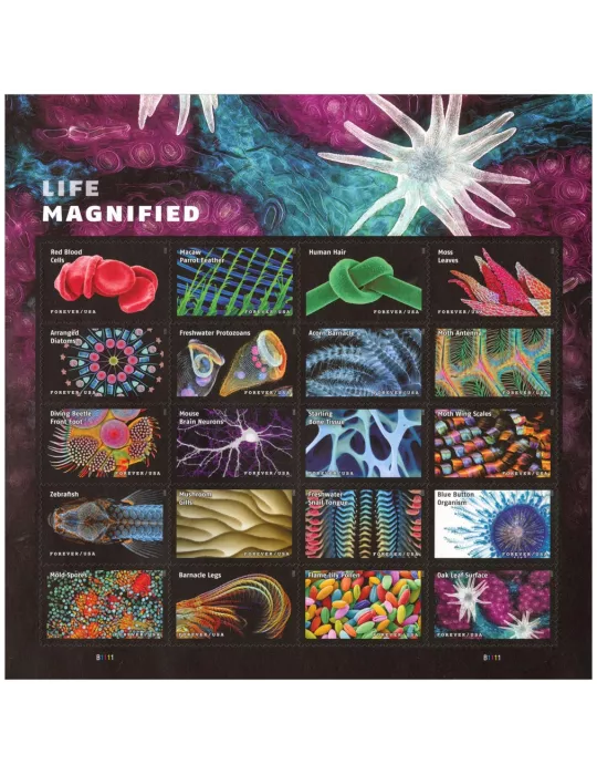 n° 5682/5701 - Timbre ETATS-UNIS D´AMERIQUE Poste