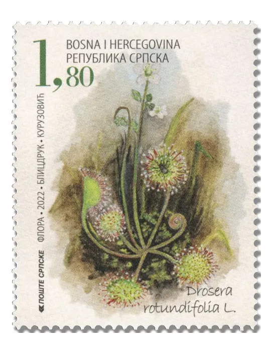 n° 799/800 - Timbre REPUBLIQUE SERBE (DE BOSNIE) Poste