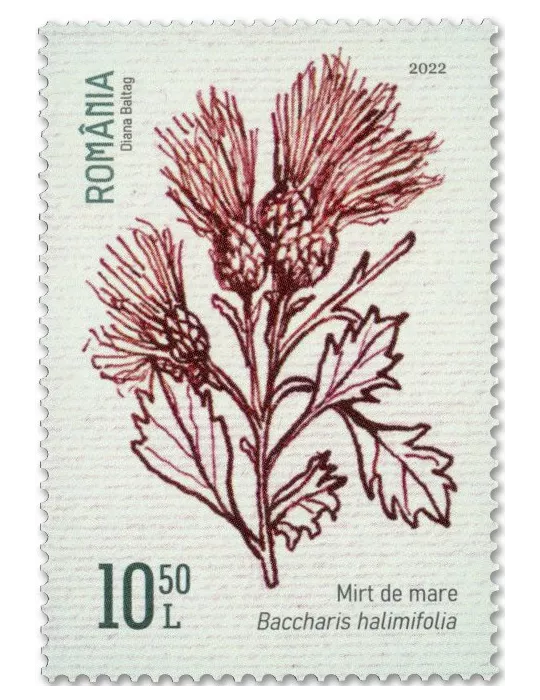 n° 6880/6883 - Timbre ROUMANIE Poste