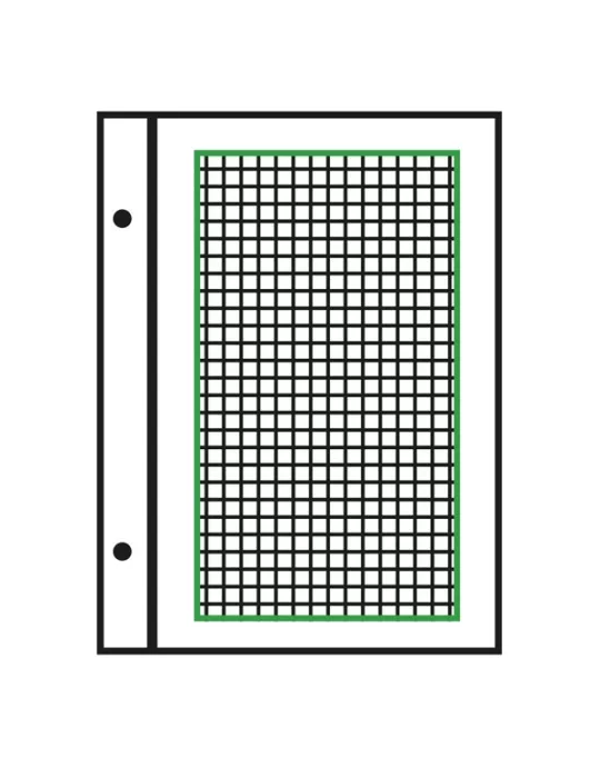 Feuilles à personnaliser FO : pages quadrillées (x50)