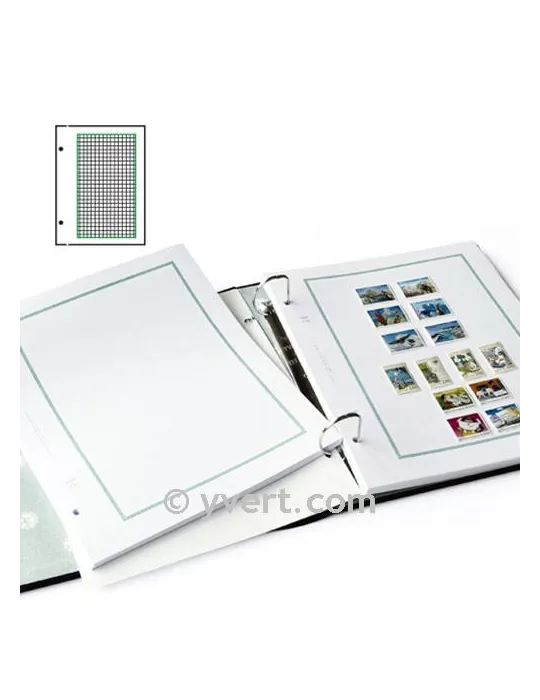 Feuilles à personnaliser FO : pages quadrillées (x50)