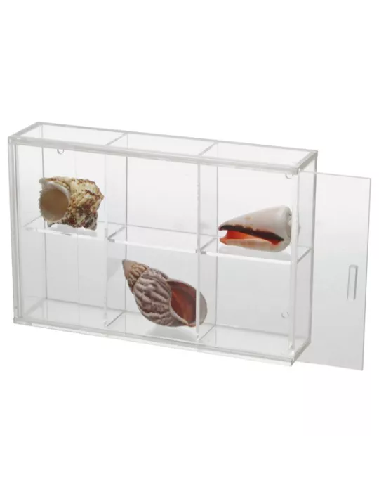 VITRINE EN PLEXI PETIT FORMAT : 6 CASES - SAFE®