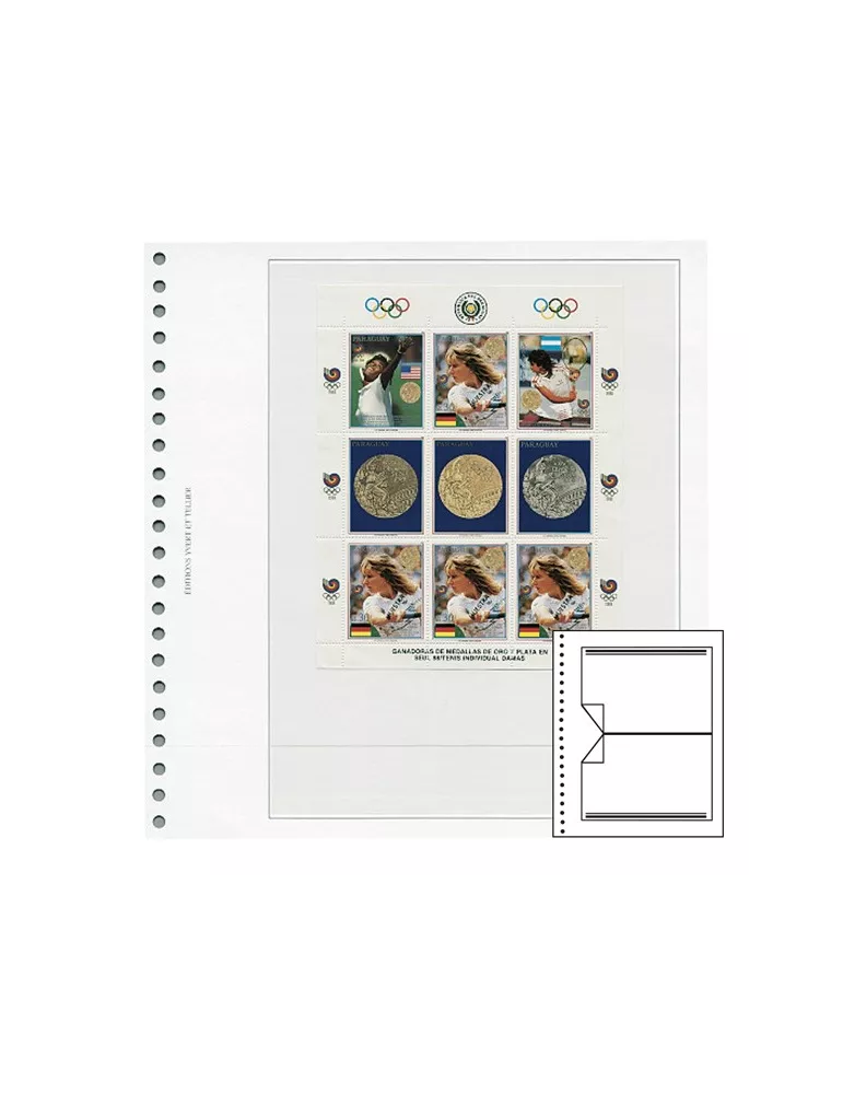 Recharges Simples Régent-Supra : 1 poche