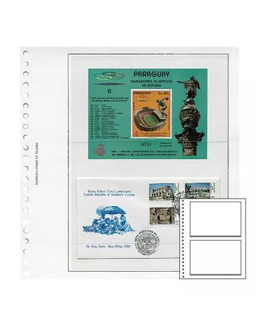 Recharges Simples Régent-Supra : 2 poches