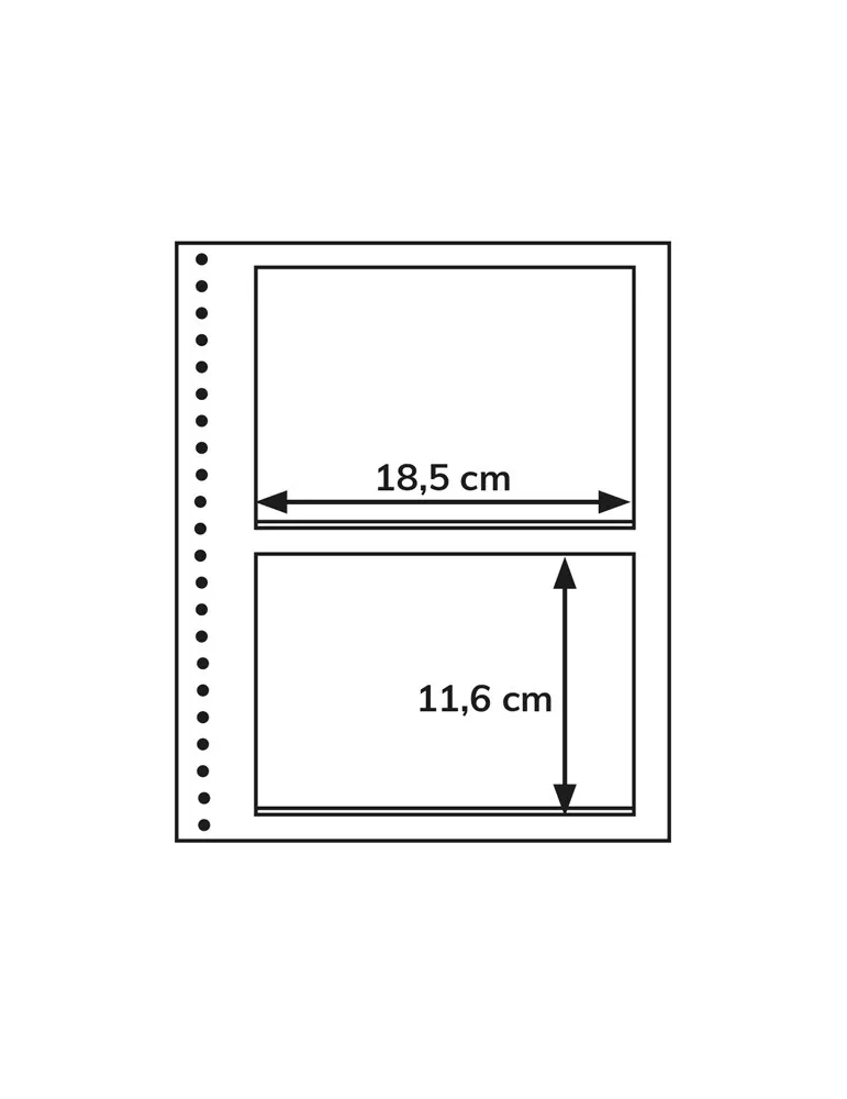 Recharges Simples Régent-Supra : 2 poches