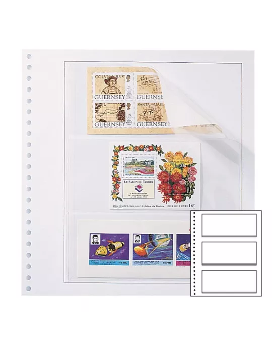 Recharges Simples Régent-Supra : 3 poches