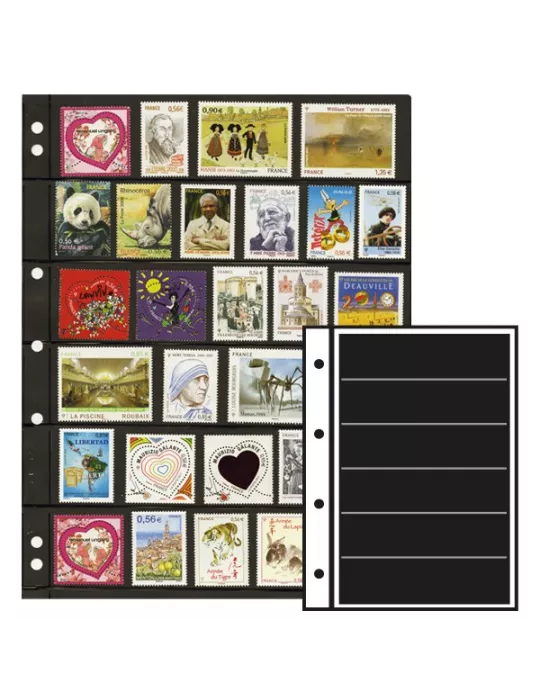 Recharges INITIA : 6 bandes