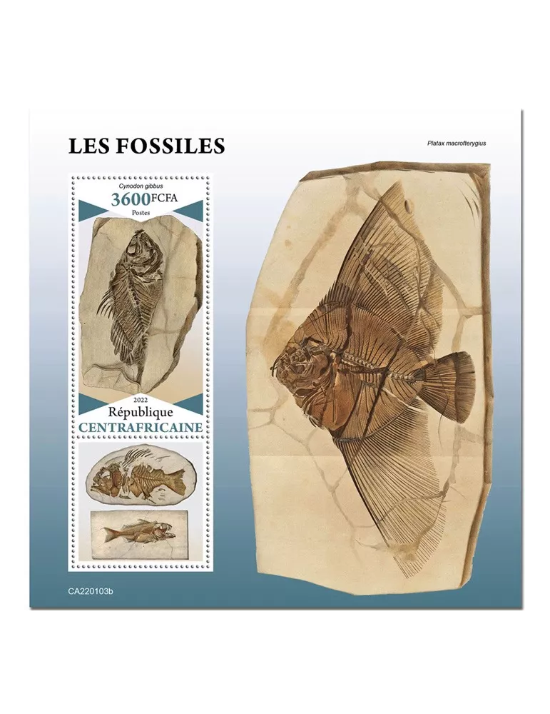 n° 1961 - Timbre CENTRAFRIQUE Blocs et feuillets