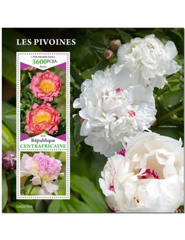 n° 1963 - Timbre CENTRAFRIQUE Blocs et feuillets