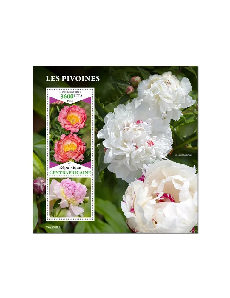 n° 1963 - Timbre CENTRAFRIQUE Blocs et feuillets