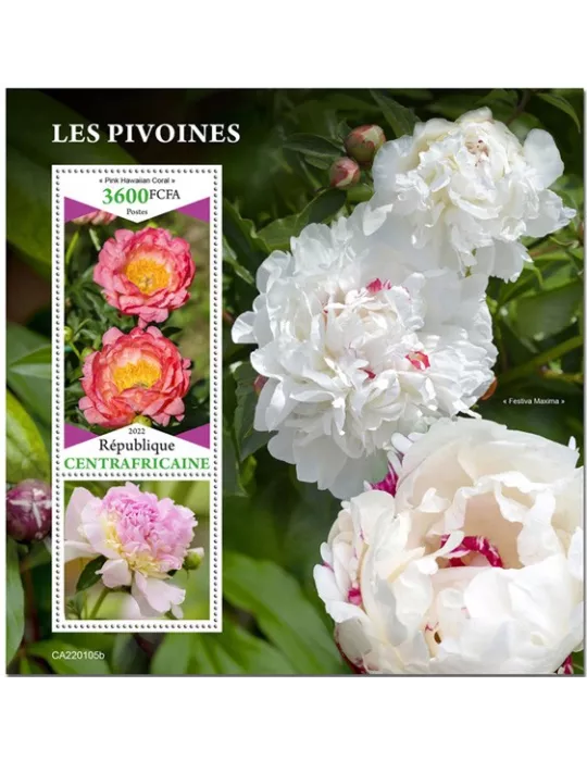 n° 1963 - Timbre CENTRAFRIQUE Blocs et feuillets