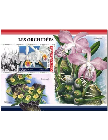 n° 2003 - Timbre CENTRAFRIQUE Blocs et feuillets