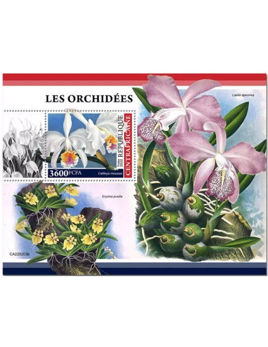 n° 2003 - Timbre CENTRAFRIQUE Blocs et feuillets