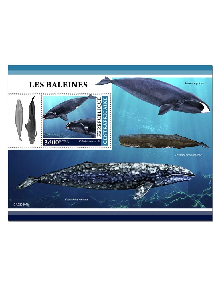 n° 2007 - Timbre CENTRAFRIQUE Blocs et feuillets