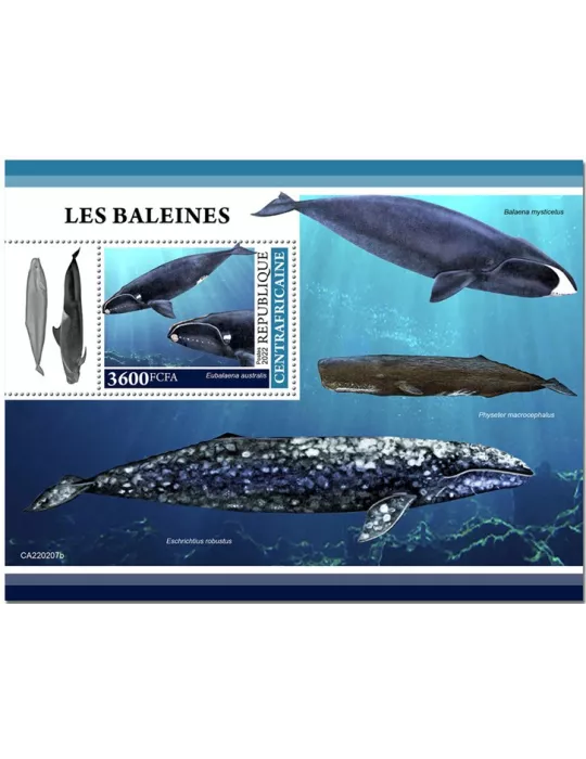 n° 2007 - Timbre CENTRAFRIQUE Blocs et feuillets