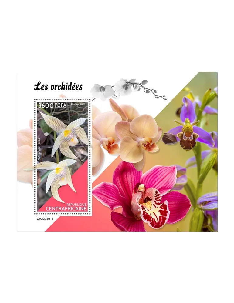 n° 2078 - Timbre CENTRAFRIQUE Blocs et feuillets