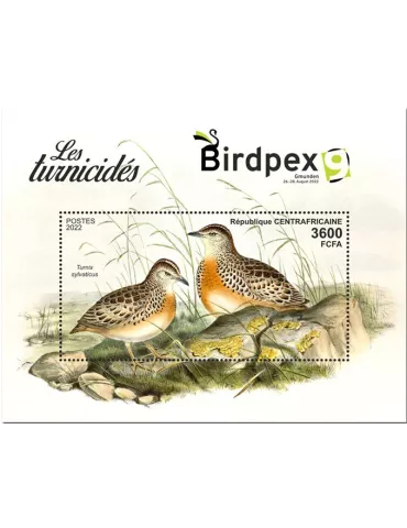 n° 2087 - Timbre CENTRAFRIQUE Blocs et feuillets