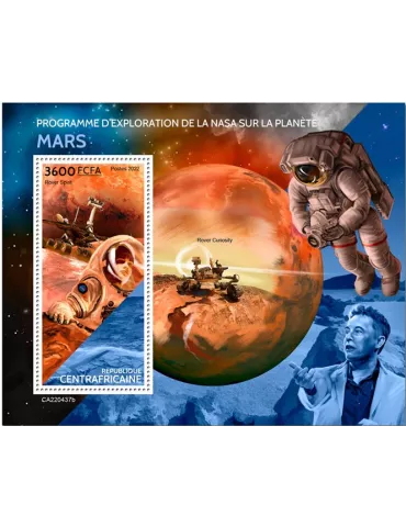 n° 2114 - Timbre CENTRAFRIQUE Blocs et feuillets