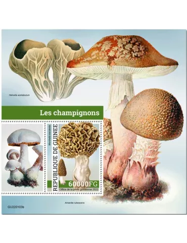 n° 2831 - Timbre GUINÉE Blocs et feuillets