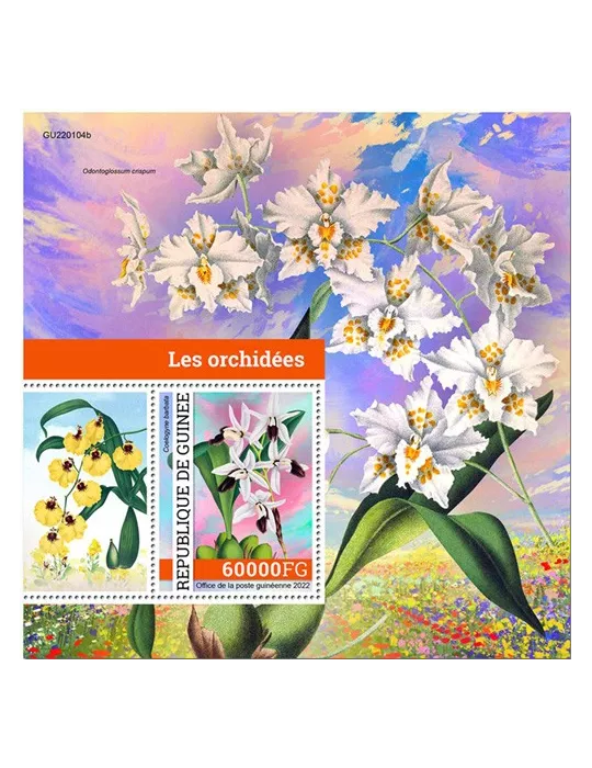 n° 2832 - Timbre GUINÉE Blocs et feuillets