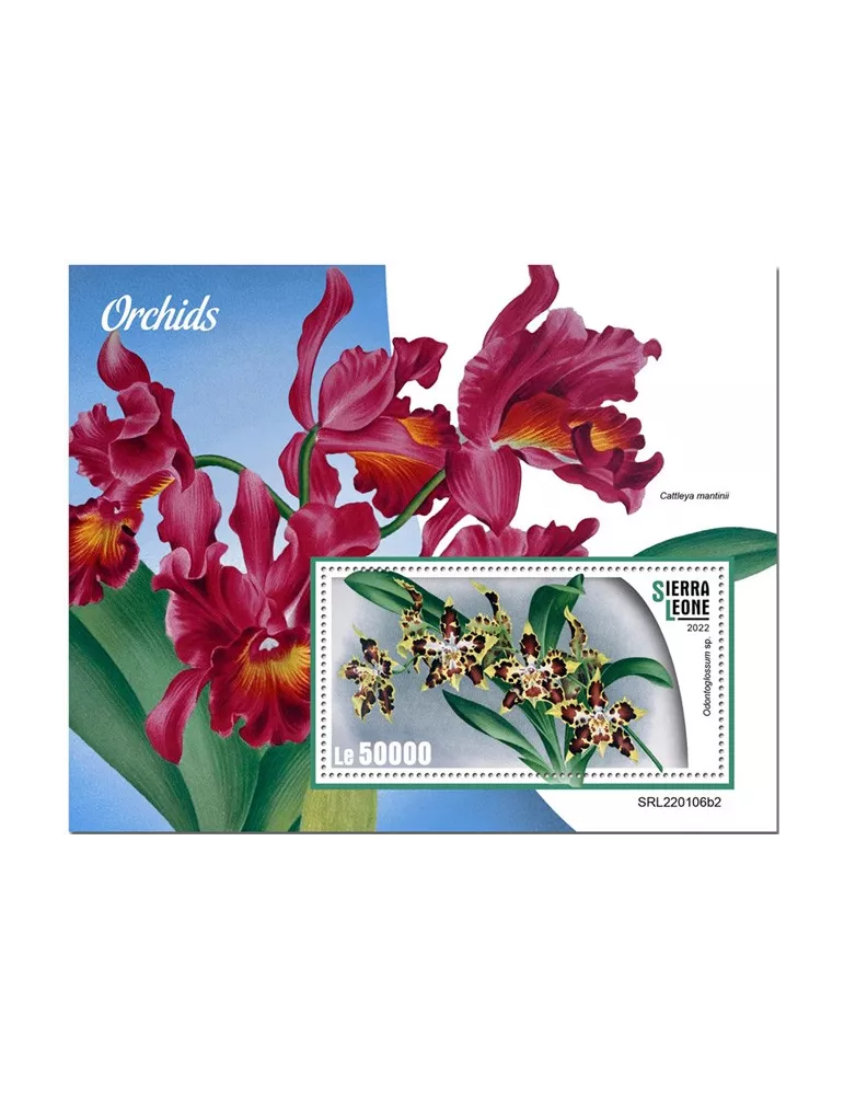 n° 2098 - Timbre SIERRA LEONE Blocs et feuillets