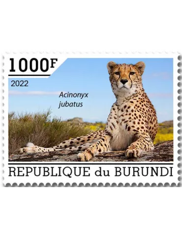 n° 2589/2593 - Timbre BURUNDI Poste
