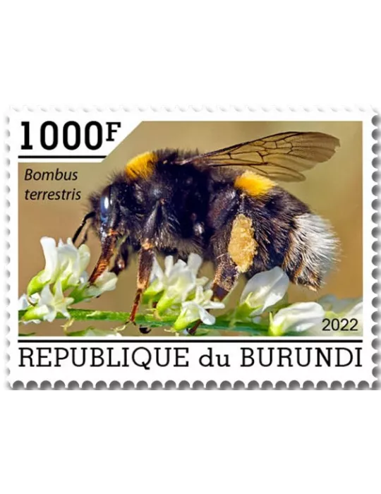 n° 2624/2628 - Timbre BURUNDI Poste
