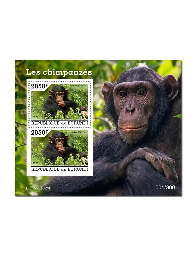 n° 446 - Timbre BURUNDI Blocs et feuillets