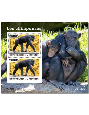 n° 447 - Timbre BURUNDI Blocs et feuillets