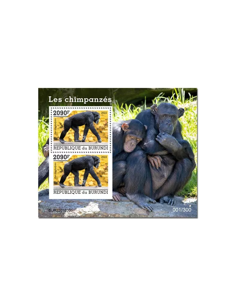 n° 447 - Timbre BURUNDI Blocs et feuillets