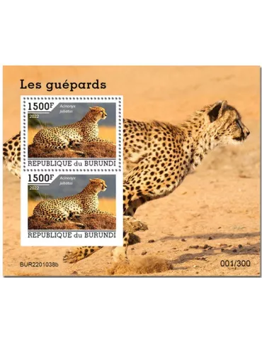 n° 455 - Timbre BURUNDI Blocs et feuillets