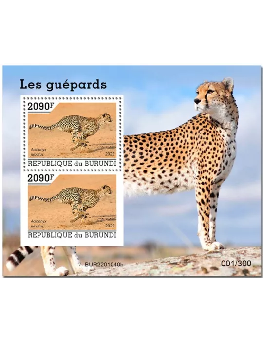 n° 457 - Timbre BURUNDI Blocs et feuillets