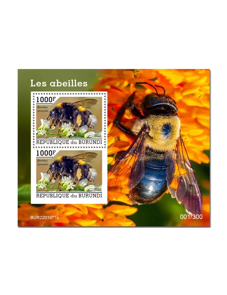 n° 488 - Timbre BURUNDI Blocs et feuillets